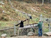 6. Reisetag – Von Ottawa nach Montréal – Besuch des Omega-Wildparks – Schwarzbären