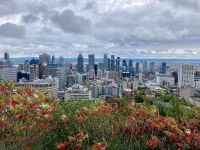 7. Reisetag – Stadtrundfahrt durch Montréal – Blick vom Mont Royal auf das Stadtzentrum und den Sankt-Lorenz-Strom