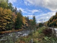 7. Reisetag – Stadtrundfahrt durch Montréal – Bergfestpause auf der Fahrt zum Lac Taureau
