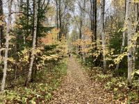 8. Reisetag – Erholungstag am Lac Taureau – Herbstlicher Waldspaziergang