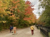 9. Reisetag – Vom Lac Taureau nach La Malbaie – Am Montmorency-Wasserfall bei Québec – Laubfärbung