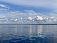 10. Reisetag – Ausflug nach Tadoussac – Walbeobachtung auf dem Sankt-Lorenz-Strom – Buckelwale