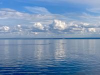 10. Reisetag – Ausflug nach Tadoussac – Walbeobachtung auf dem Sankt-Lorenz-Strom – Buckelwale