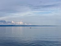 10. Reisetag – Ausflug nach Tadoussac – Walbeobachtung auf dem Sankt-Lorenz-Strom – Buckelwale