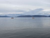 10. Reisetag – Ausflug nach Tadoussac – Walbeobachtung auf dem Sankt-Lorenz-Strom