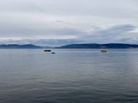 10. Reisetag – Ausflug nach Tadoussac – Walbeobachtung auf dem Sankt-Lorenz-Strom