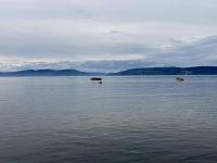 10. Reisetag – Ausflug nach Tadoussac – Walbeobachtung auf dem Sankt-Lorenz-Strom