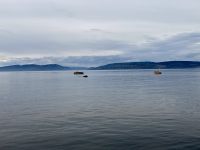 10. Reisetag – Ausflug nach Tadoussac – Walbeobachtung auf dem Sankt-Lorenz-Strom