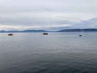 10. Reisetag – Ausflug nach Tadoussac – Walbeobachtung auf dem Sankt-Lorenz-Strom