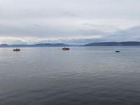 10. Reisetag – Ausflug nach Tadoussac – Walbeobachtung auf dem Sankt-Lorenz-Strom