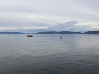 10. Reisetag – Ausflug nach Tadoussac – Walbeobachtung auf dem Sankt-Lorenz-Strom