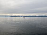 10. Reisetag – Ausflug nach Tadoussac – Walbeobachtung auf dem Sankt-Lorenz-Strom