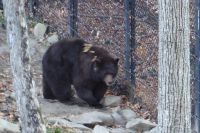 Omega Park Wildgehege