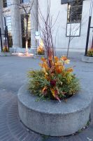 Impressionen Calgary