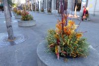 Impressionen Calgary