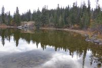 Mary Shaffer's Trail