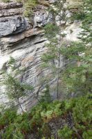 Maligne Canyon