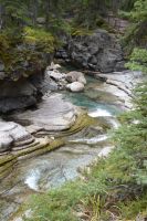 Maligne Canyon