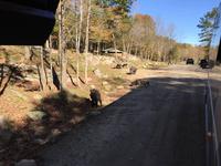 216 Omega Wildpark