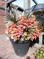 Bunte Blumendekorration im Restaurant im District