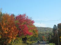 Indian Summer Farben