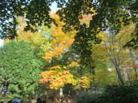 Auf dem Weg zu Montmorency Wasserfall