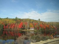 Die schönsten Bilder des Indian Summer 