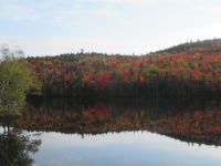 Die schönsten Bilder des Indian Summer 