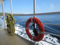 Am Schiff - Walbeobachtung startet