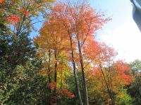 Indian Summer Farben