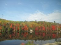 Die schönsten Bilder des Indian Summer - Gewinnspiel