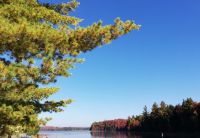 Canoe Lake - Indian Summer Farben