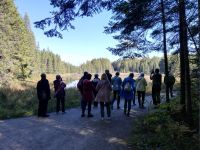 Spaziergang um den See - Spruce Bog Walk