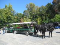 Mittagessen in Sucrerie de la Montagne - wir werden mit Pferdegespann abgeholt