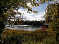 Muskoka Lake vom Ufer