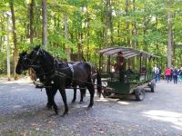 Was für ein Empfang...