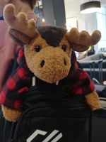 Unser Elch Maskottchen 