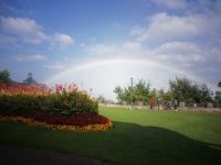 Niagara - wunderschöne Blumen und Regenbogen 