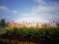 Wie aus dem Bilderbuch