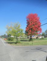 Einmal rot, einmal grün ...