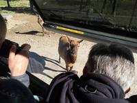 218 Omega Wildpark