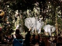 Kaffeetrinken im Dschungel in Niagara