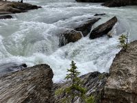 Tosender Kicking Horse River