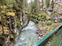 Der Johnston Canyon