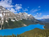 Toller Peyto Lake