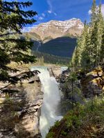 Der Athabasca Wasserfall und sein Canyon