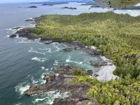 Urwald, Strand und Felsen