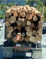 Die Geschichte Kanadas