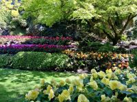 Licht und Schatten Spiel