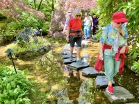 Konzentration im Japanischen Garten
